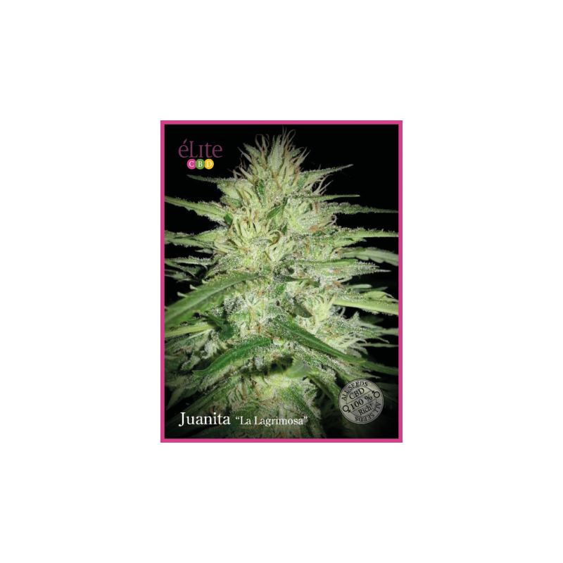 Juanita "La Lagrimosa" CBD ELITE SEEDS