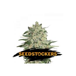 Big Bud SeedStockers - Sativagrowshop.com