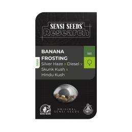 Banana Frosting SENSI SEEDS RESEARCH